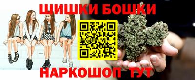 прущие грибы Нягань