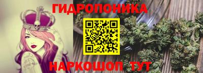 стафф Обь