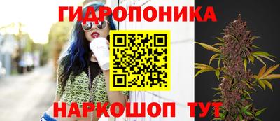 стафф Обь