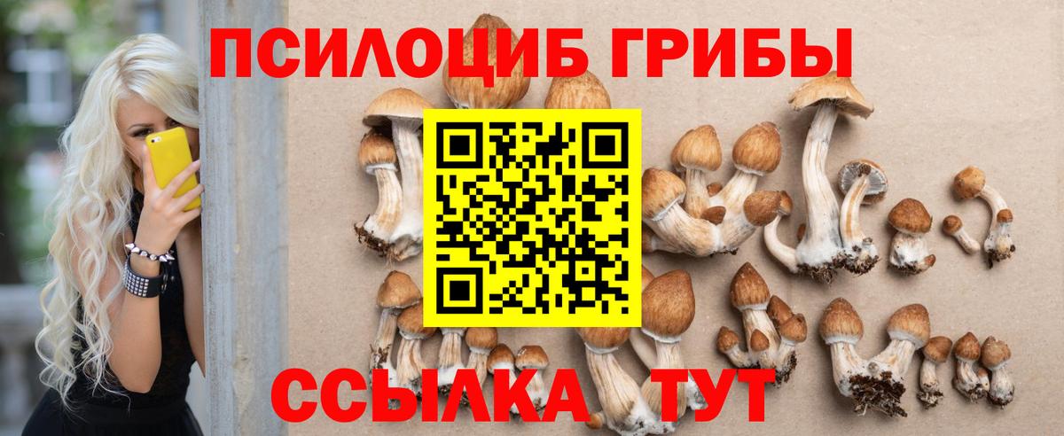 Рубцовск  Псилоцибиновые грибы MAGIC MUSHROOMS  Вход с VPN 